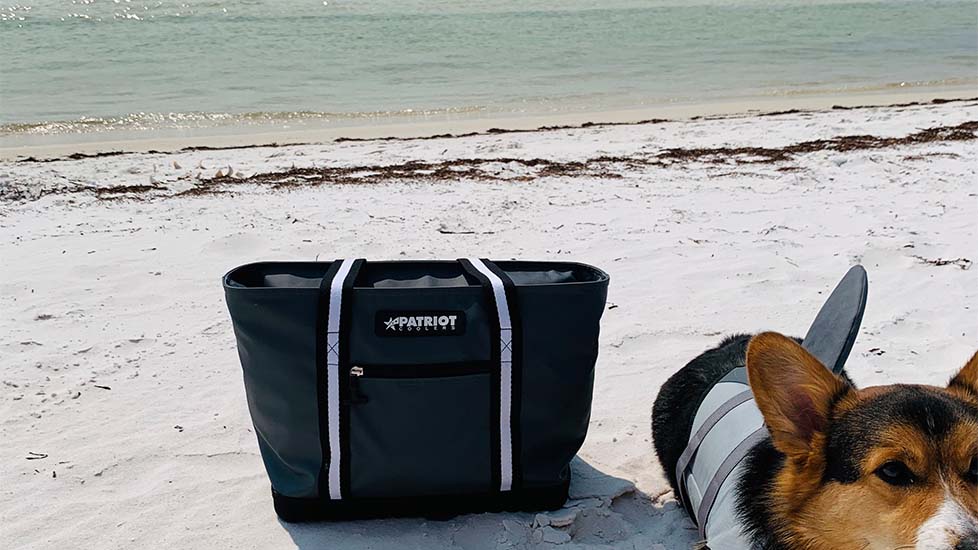 Fish Like a Pro Best Time To Fish for Bass Patriot Coolers